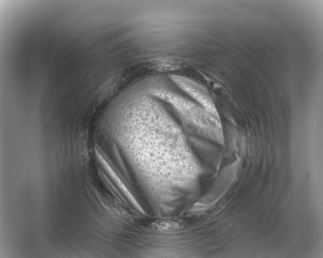 X0000064750512200602241841