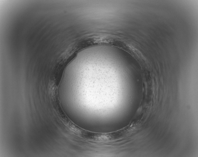 X0000064750513200602241841