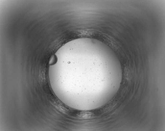 X0000064750514200602241841