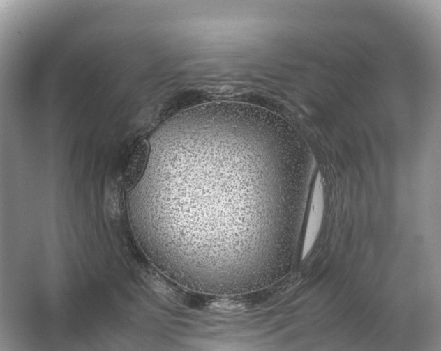 X0000064750515200602241841