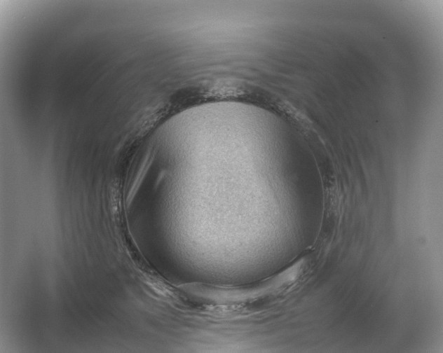 X0000064750517200602241841