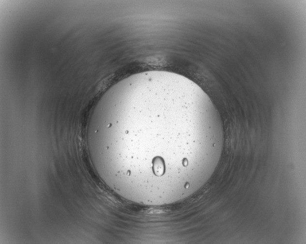 X0000064750518200602241841