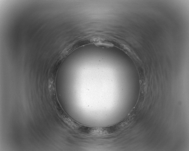 X0000064750521200602241841