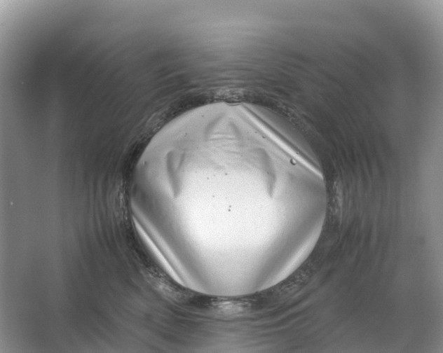 X0000064750522200602241841