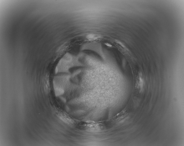 X0000064750524200602241841