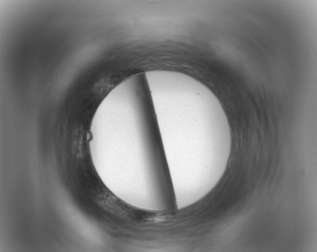 X0000064750525200602241841