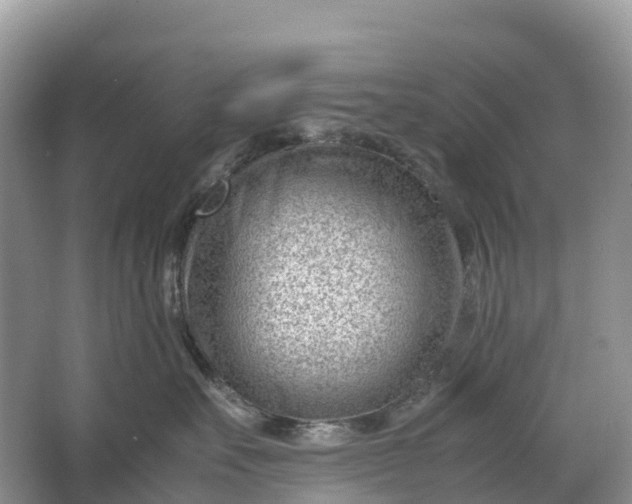 X0000064750527200602241841