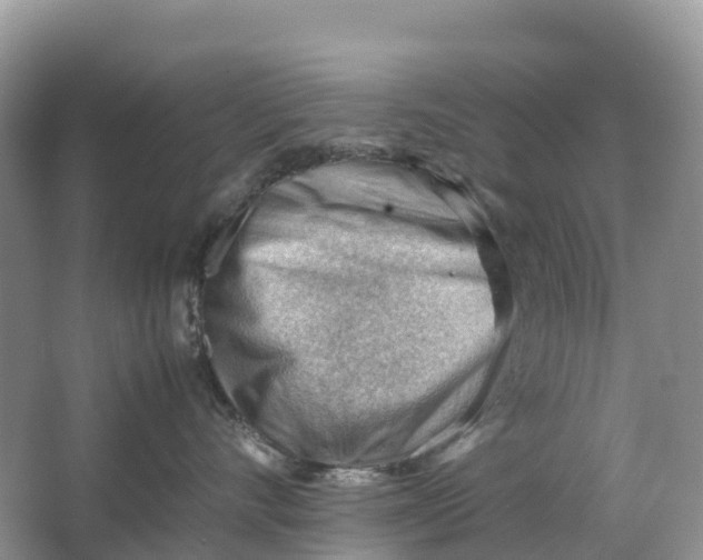 X0000064750528200602241841