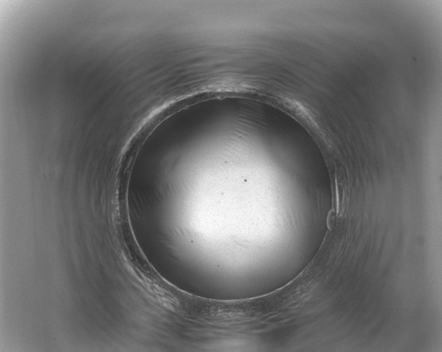 X0000064750531200602241839