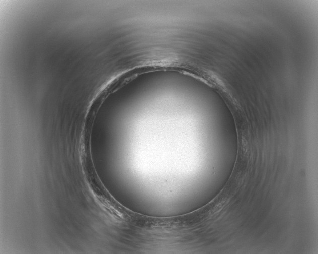 X0000064750532200602241839