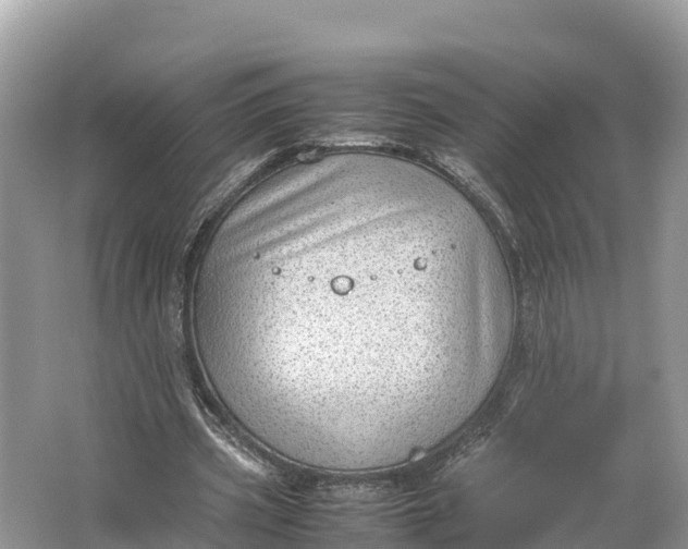 X0000064750533200602241839