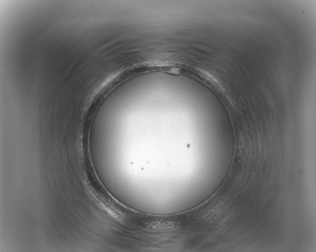 X0000064750535200602241840