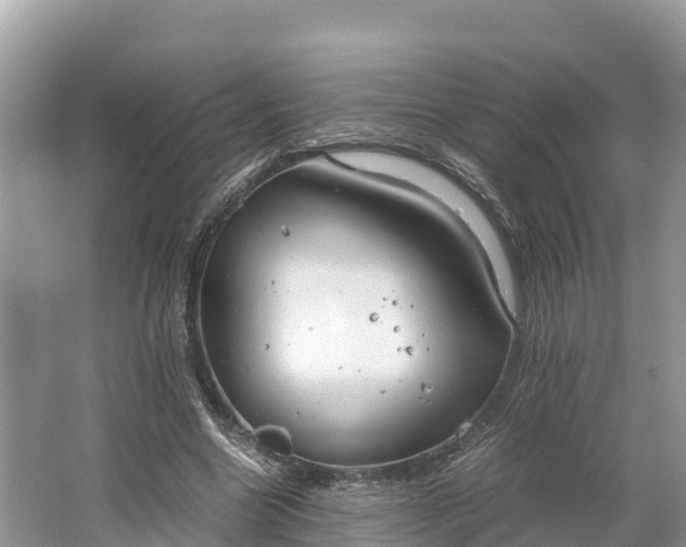 X0000064750538200602241840