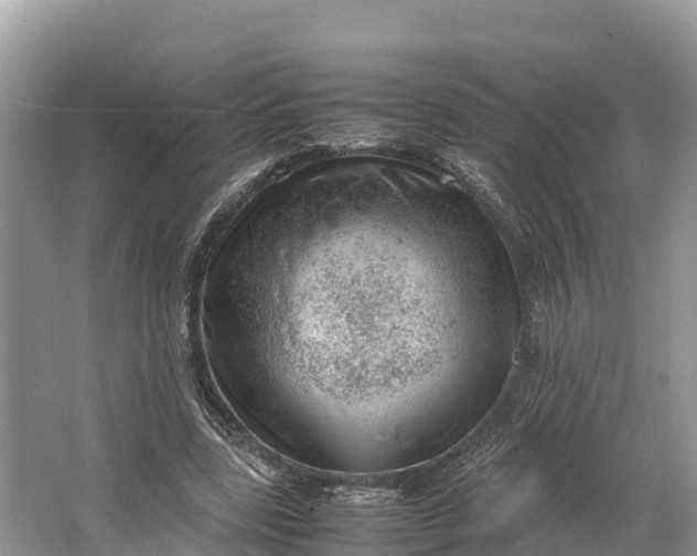 X0000064750539200602241840