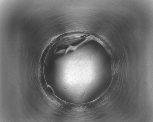 X0000064750540200602241840