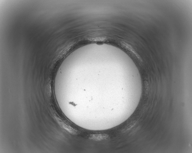 X0000064750541200602241840