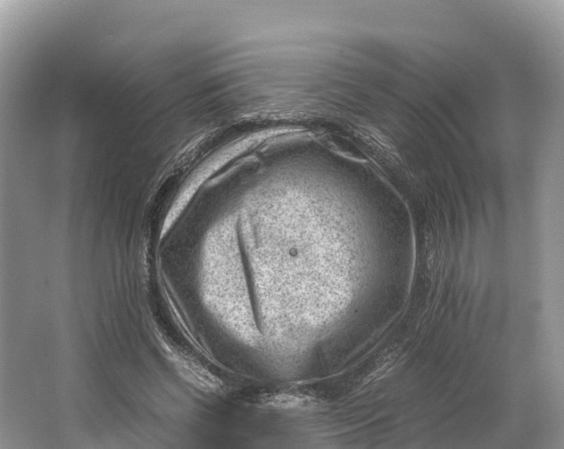 X0000064750542200602241840