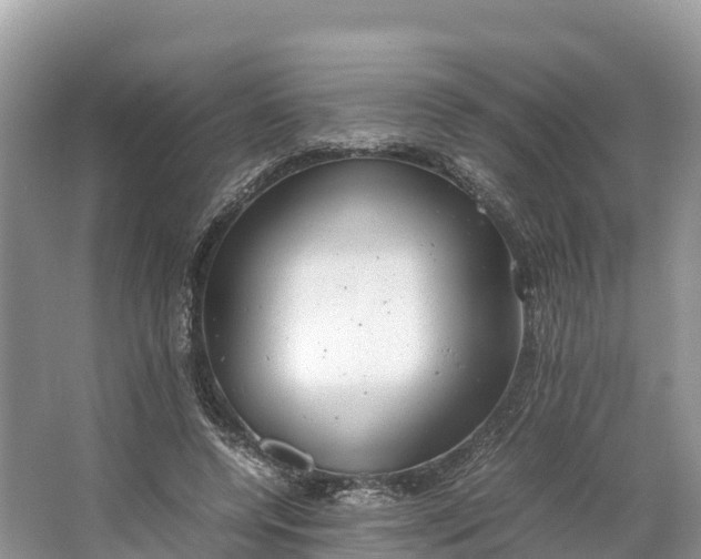 X0000064750544200602241840