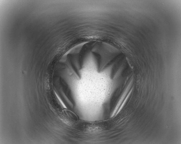 X0000064750547200602241840