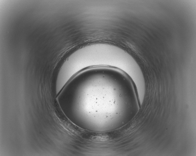 X0000064750548200602241840