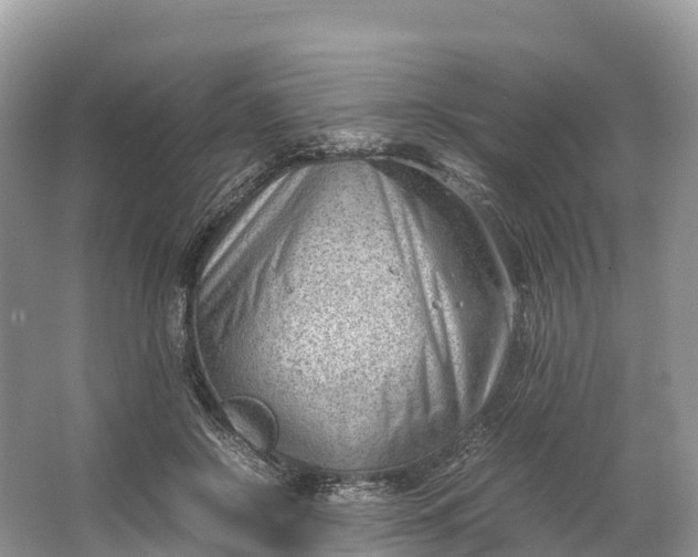 X0000064750550200602241840