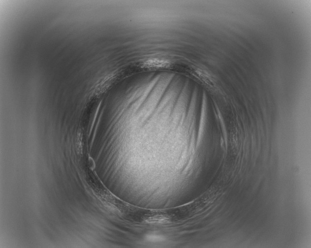 X0000064750551200602241840