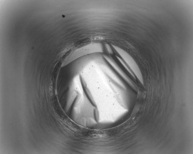 X0000064750552200602241840