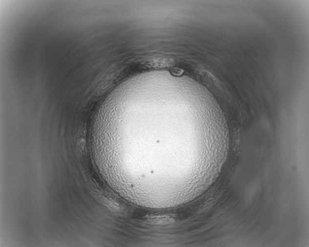 X0000064750553200602241840