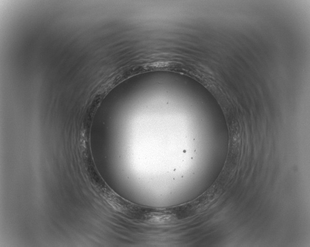 X0000064750555200602241840