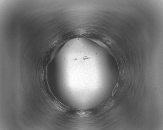 X0000064750558200602241840