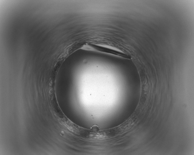 X0000064750559200602241840