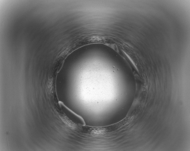 X0000064750560200602241840