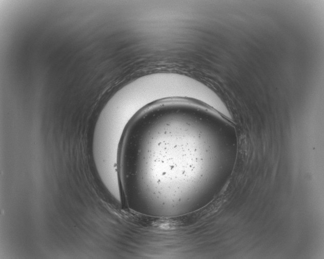 X0000064750564200602241840