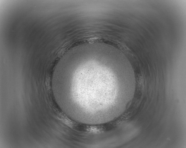 X0000064750565200602241840