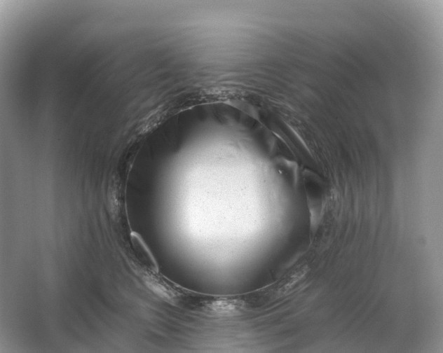 X0000064750566200602241840