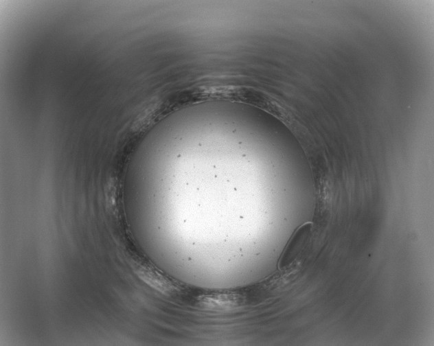 X0000064750567200602241840