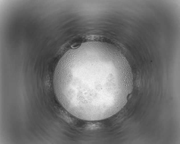 X0000064750569200602241840