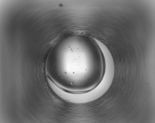 X0000064750570200602241840