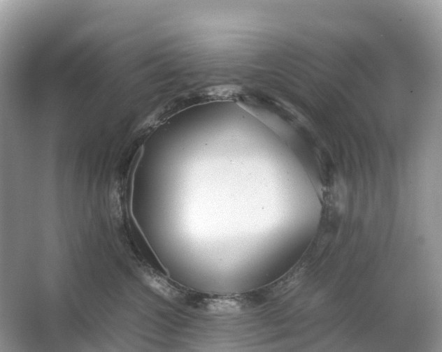 X0000064750572200602241840