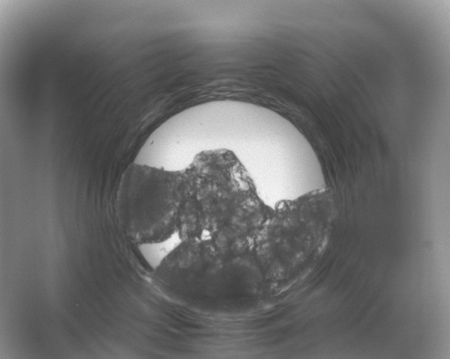 X0000064750573200602241841