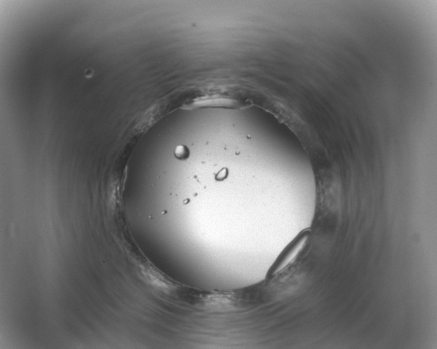 X0000064750574200602241841