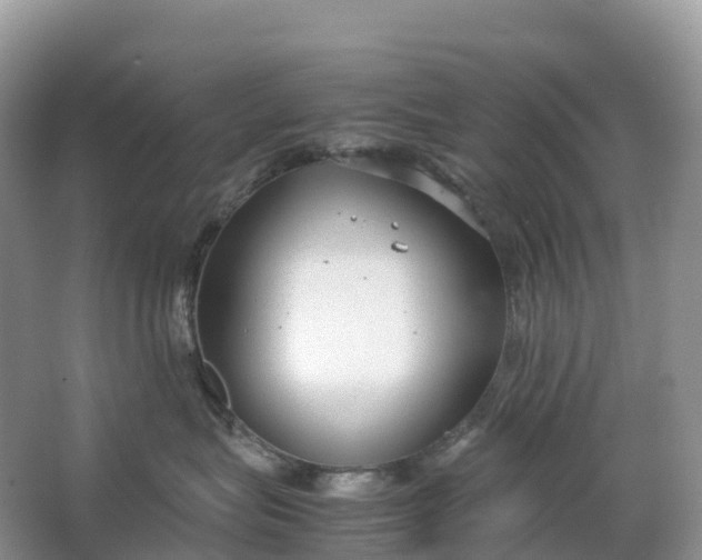 X0000064750575200602241841