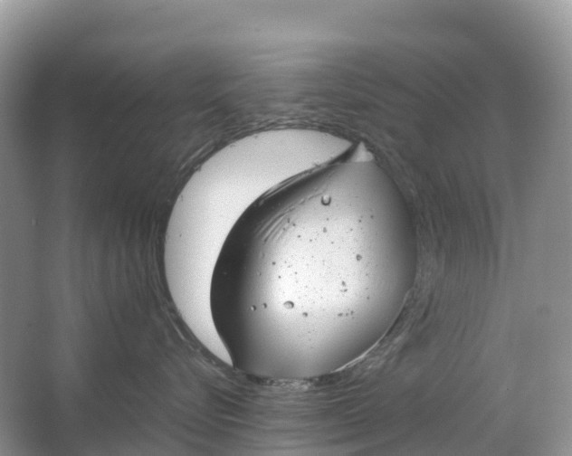 X0000064750576200602241841