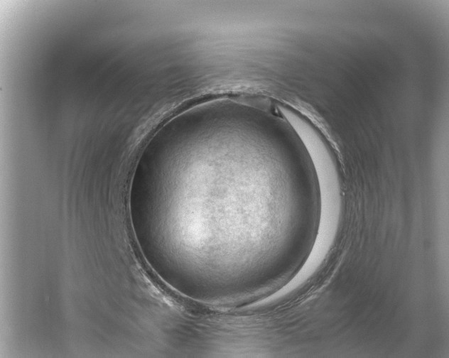 X0000064750577200602241839