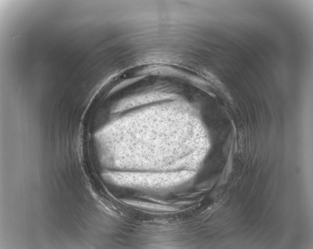 X0000064750580200602241839