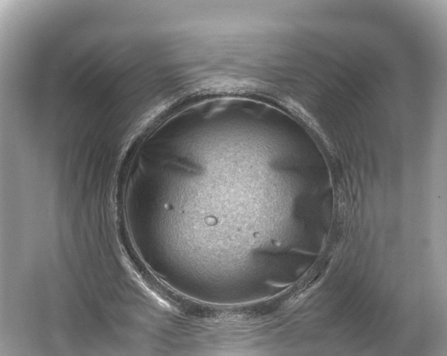 X0000064750581200602241839