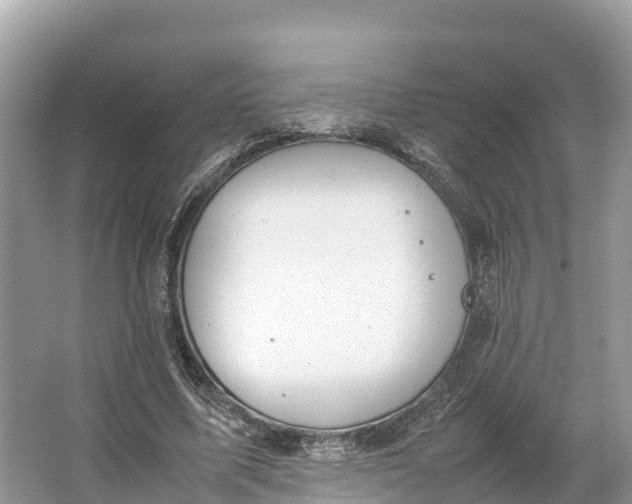 X0000064750587200602241839