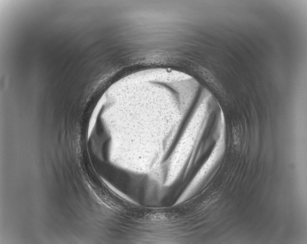 X0000064750588200602241839