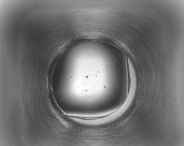 X0000064750589200602241839