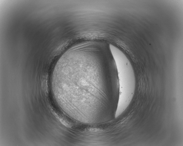 X0000064750590200602241839